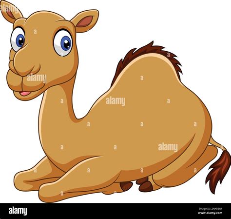 funny camel images|cartoon image of camel.